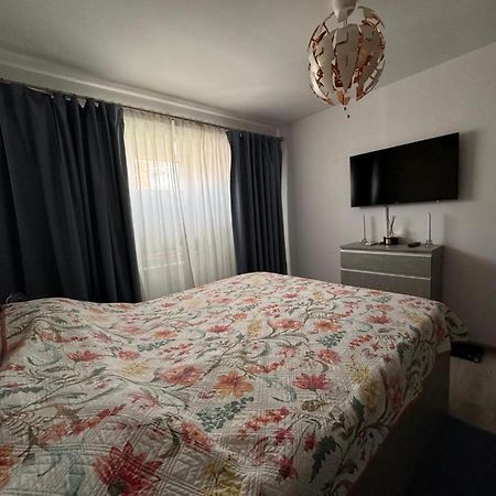 אפורי נורד Apartament Alexe מראה חיצוני תמונה