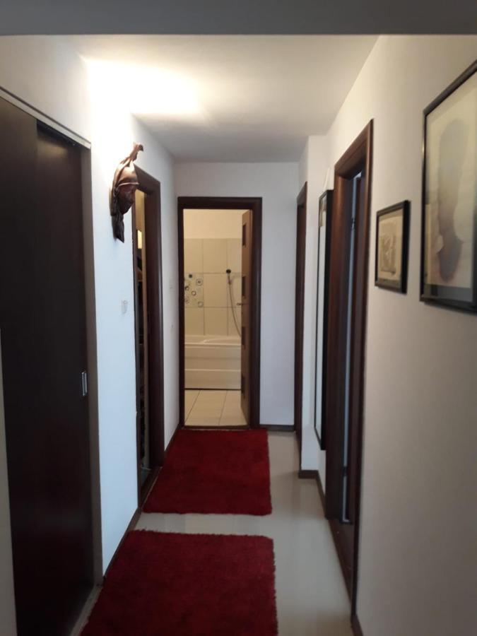 אפורי נורד Apartament Alexe מראה חיצוני תמונה