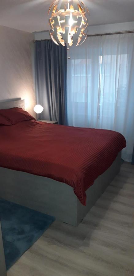 אפורי נורד Apartament Alexe מראה חיצוני תמונה