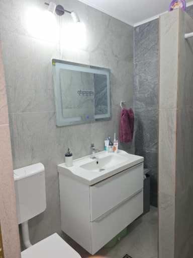 אפורי נורד Apartament Alexe מראה חיצוני תמונה
