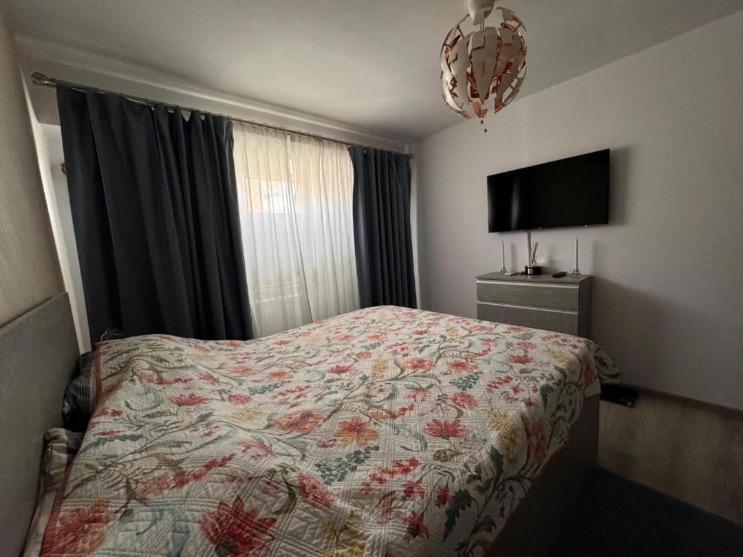 אפורי נורד Apartament Alexe מראה חיצוני תמונה