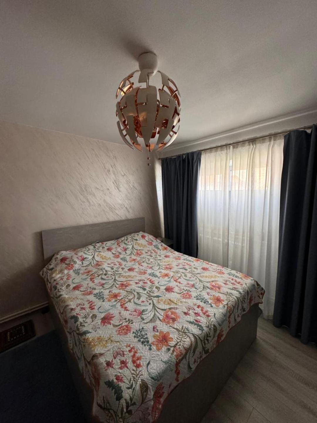 אפורי נורד Apartament Alexe מראה חיצוני תמונה